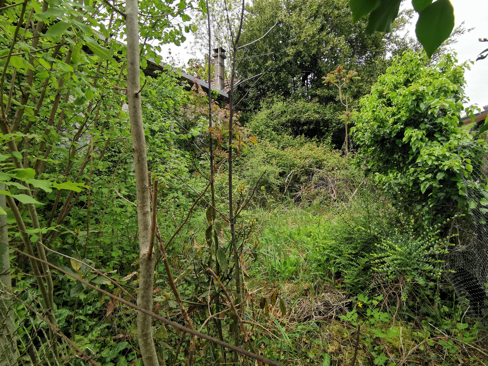 Image_12, Maison de village, Contrevoz,
                                ref :GPVMA50020307