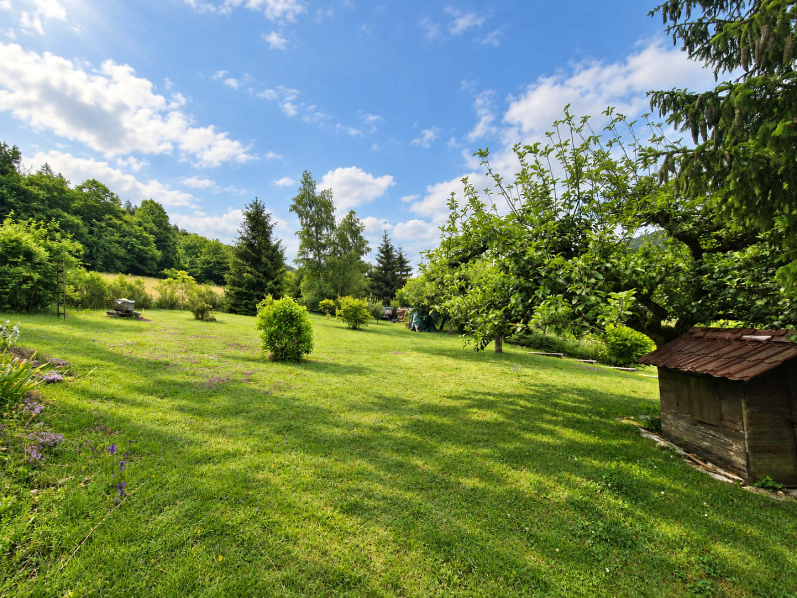 Image_11, viager maison, Plateau d'Hauteville,
                                ref :VMV0003694