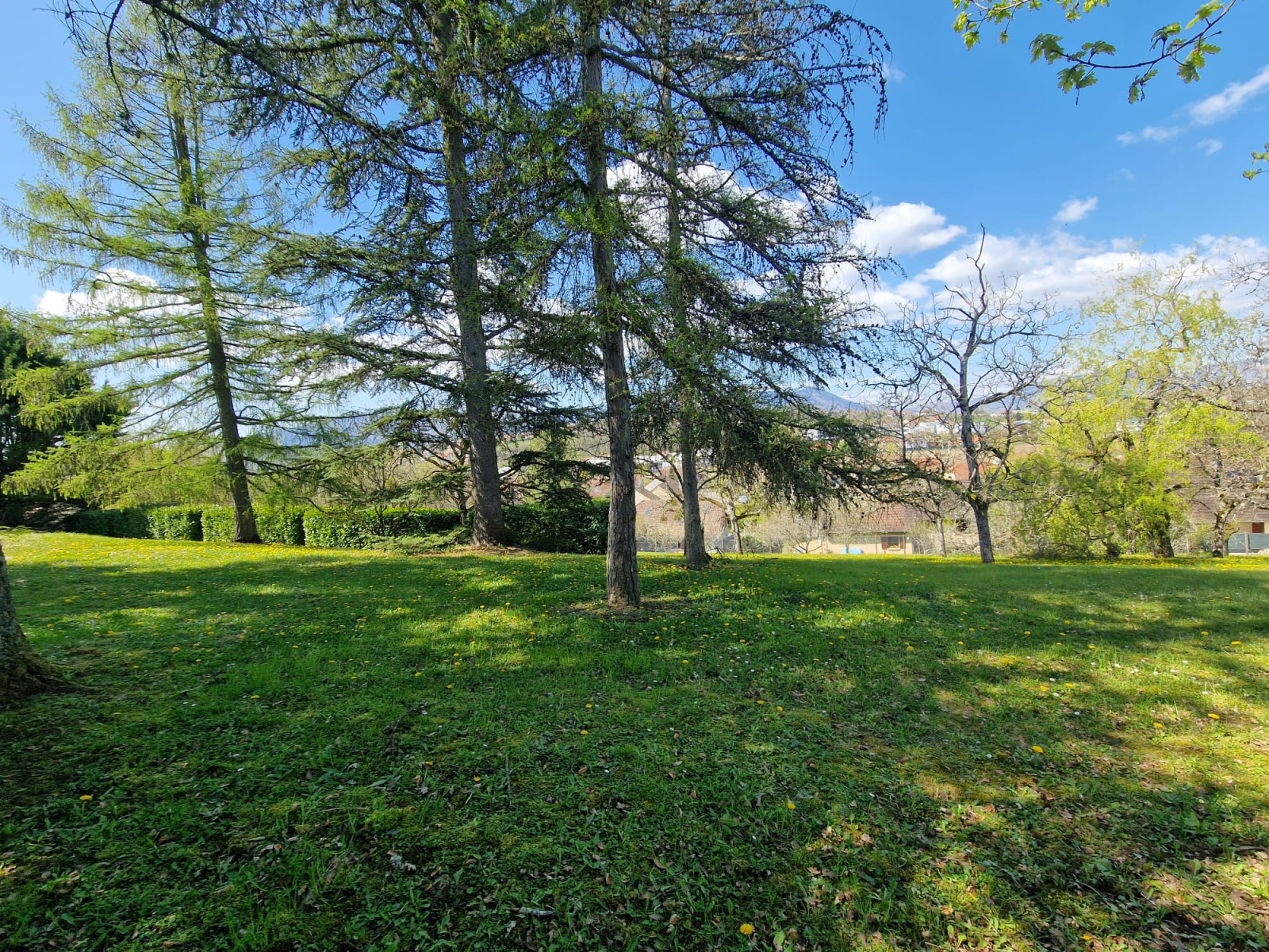 Image_1, Terrain à batir, Belley,
                                ref :T0003656