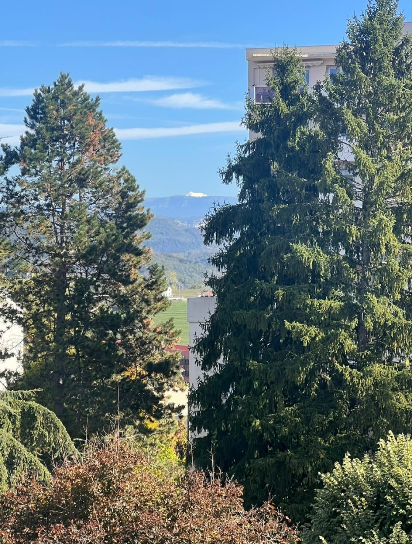 Image_7, Appartement, Belley,
                                ref :GLVAP000