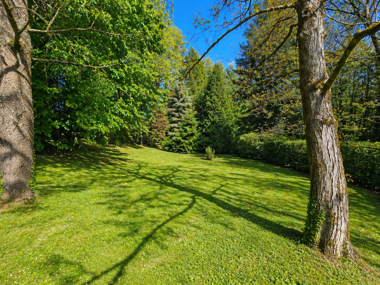 Image_9, Maison, Arboys en Bugey,
                                ref :M0003661