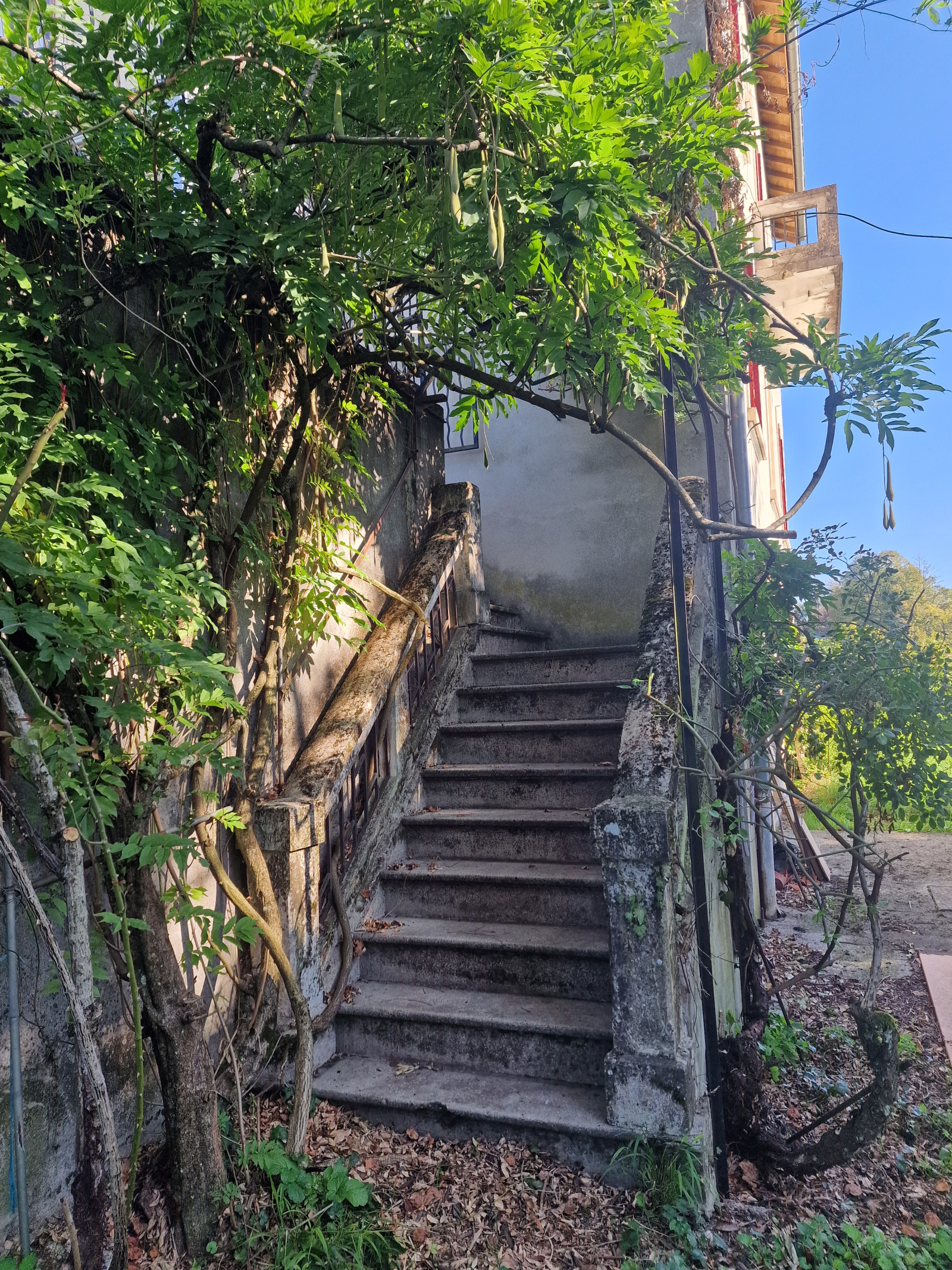 Image_14, Maison, Belley,
                                ref :M0003621