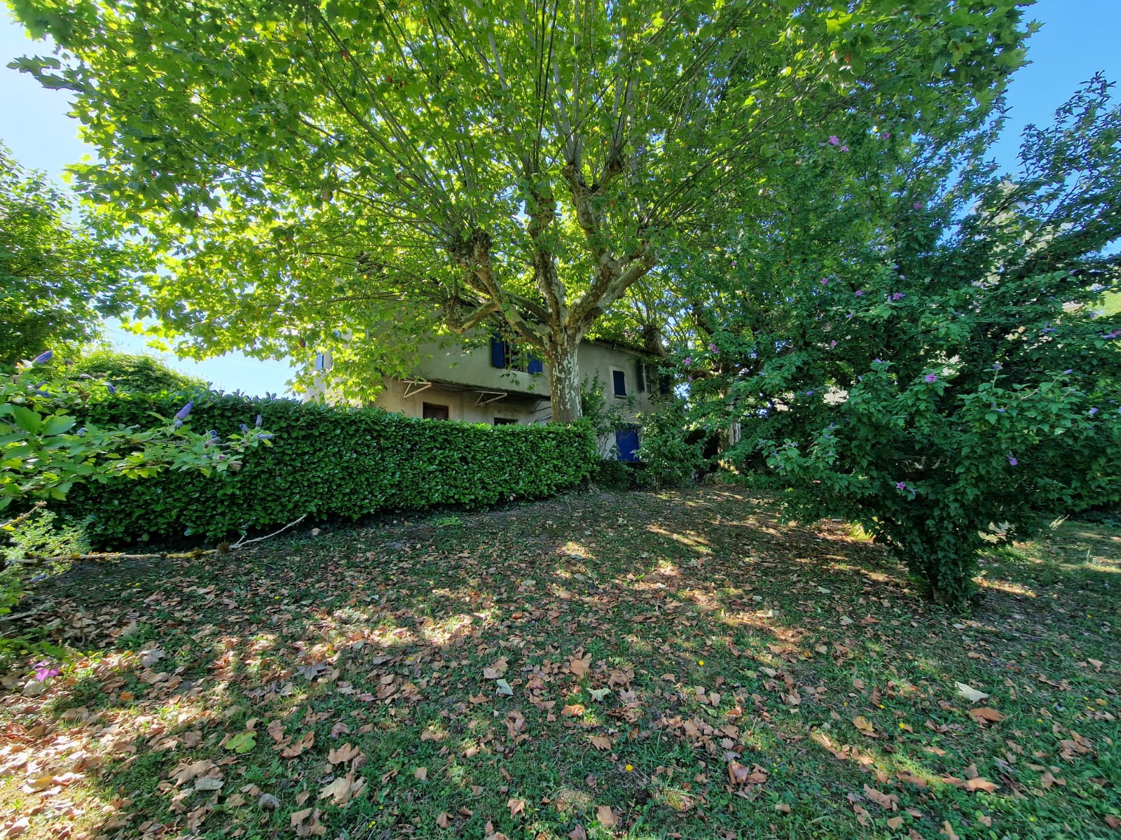 Image_9, Maison, Belley,
                                ref :M0003589