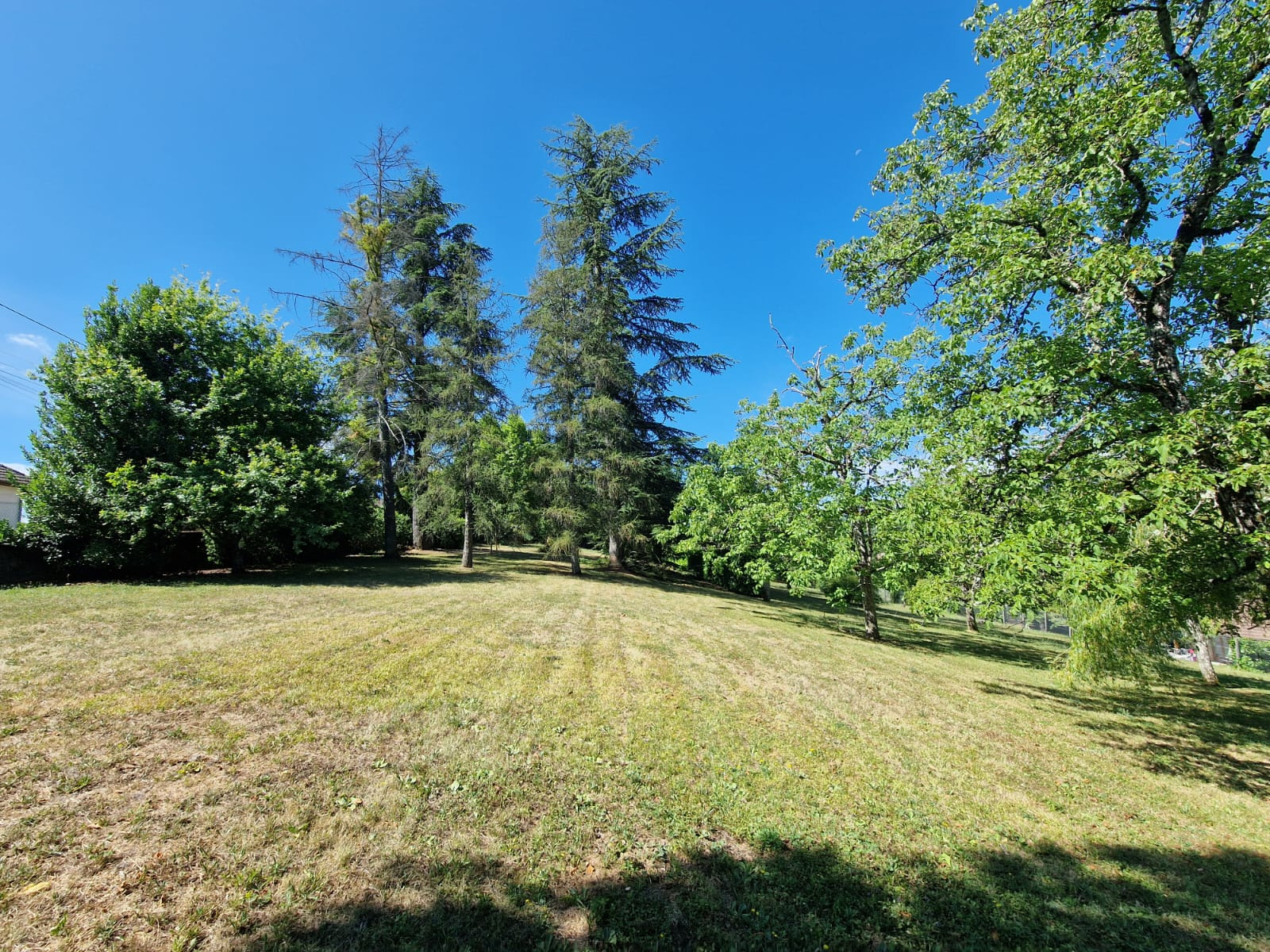 Image_3, Maison, Belley,
                                ref :M0003589