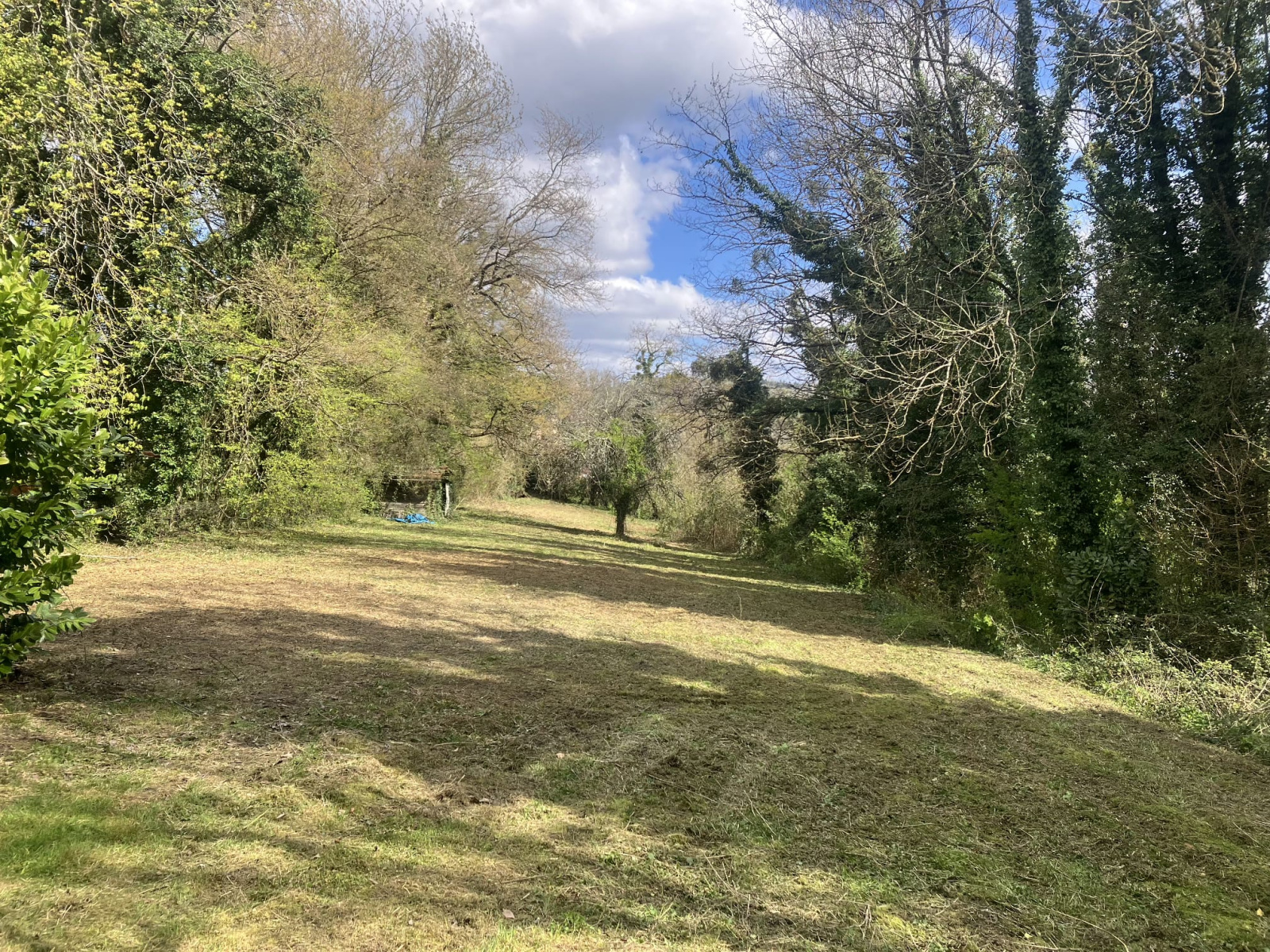 Image_10, Maison, Belley,
                                ref :M0003586